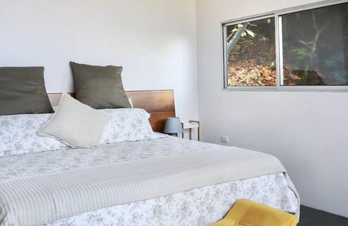 Parrita House | Discover Nature Among 900 Tropical Cacao Trees