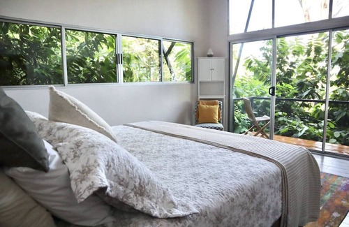 Parrita House | Discover Nature Among 900 Tropical Cacao Trees