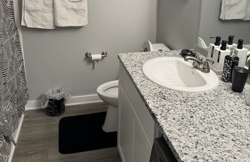 Raleigh Apartment | Convenient Stay Near Crabtree Valley Mall & Wake Med