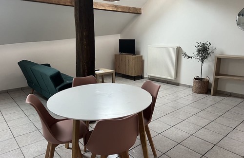 Sarrebourg Apartment | Cozy Apartment in the Heart of Sarrebourg - Pet Friendly