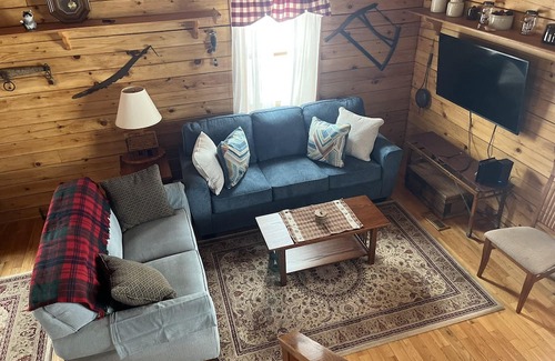 Geneseo Cabin | Experience The Cozy Cabin On Long Point for Family Fun