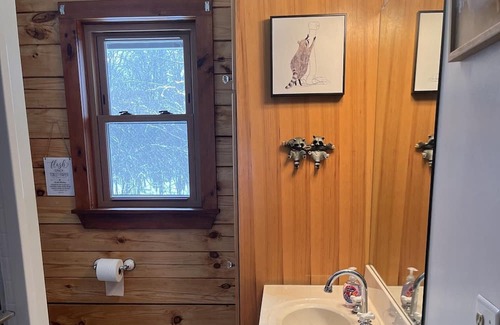 Geneseo Cabin | Experience The Cozy Cabin On Long Point for Family Fun