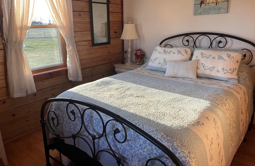 Geneseo Cabin | Experience The Cozy Cabin On Long Point for Family Fun