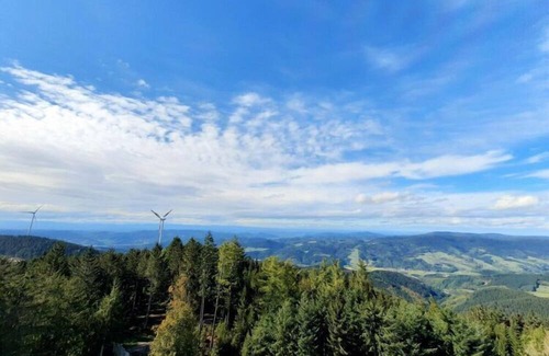 Zell am Harmersbach Apartment | Appealing apartment in Zell am Harmersbach
