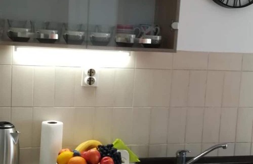 Osijek Apartment | Cozy Studio Apartment Olymp Osijek with Garage Access