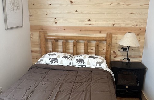 Delavan Cabin | Historic Twigs Cabin Near Lake Loraine with Spa & Hot Tub