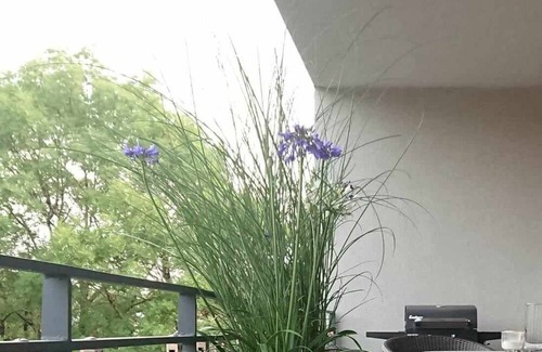 Oos Apartment | Discover the Cozy Business Apartment with Private Terrace