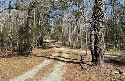 Bynum Cabin | Cozy Cabin Escape in the Woods Perfect for Couples