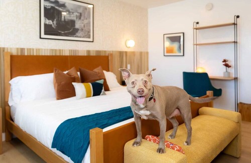Kanab Apartment | Retro Chic l Swim & stargaze at Quail Park Lodge