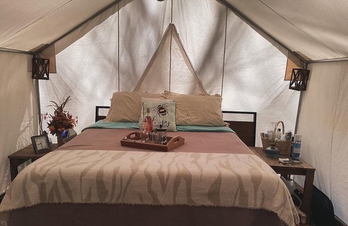 Turtletown RV Rental | Unique Camping with a Twist: Pet-Friendly & Spa Amenities