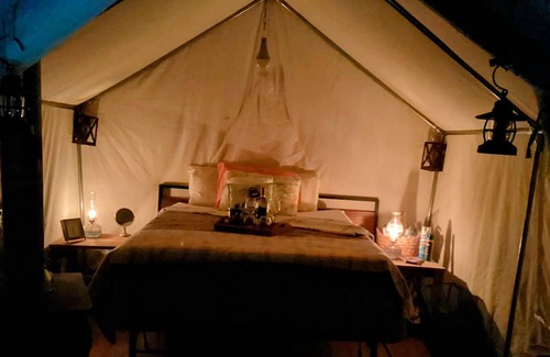 Turtletown RV Rental | Unique Camping with a Twist: Pet-Friendly & Spa Amenities