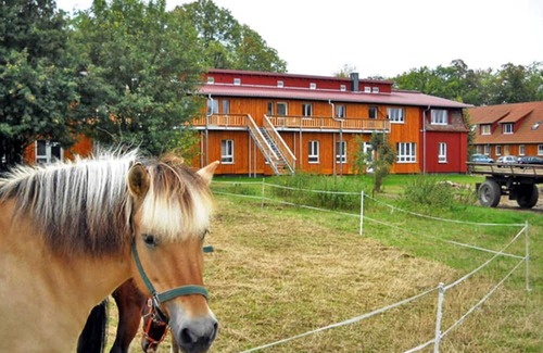 Schwerin Apartment | Experience Saal: Vacation on an Organic Oceanfront Farm