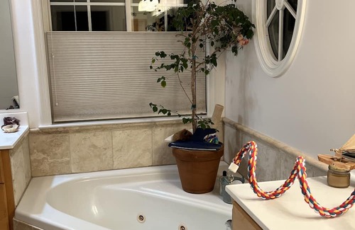 Batesville Bed & Breakfast | Explore The LAND: A Unique Ocean View Retreat Awaits
