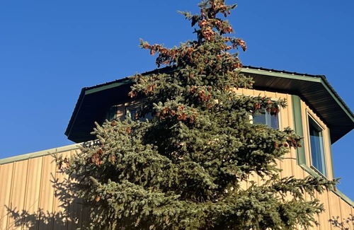 Cedaredge Apartment | Cozy Farm Stay Guest Apartment with Goats & Hot Tub