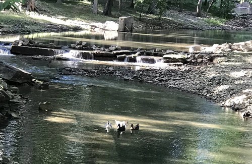 Marble Falls RV Rental | Explore Camping By Mill Creek: Pet-Friendly & Breakfast Included