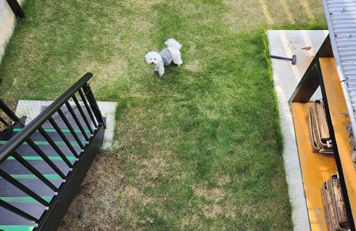 Shikokuchuo RV Rental | Pet-Friendly Trailer House with Camping Space in Shikokuchuo