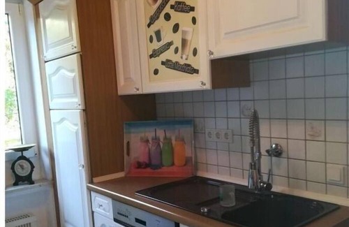 Zewen House | Spacious apartment near centre