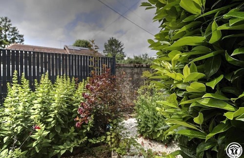 Saint-Cyr-sur-Menthon House | Pet-Friendly Comfort at Le nid de la Poipe, Saint Cyr Sur Menthon