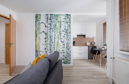 Katowice Apartment | Cozy Studio with Balcony for Remote Work in Katowice