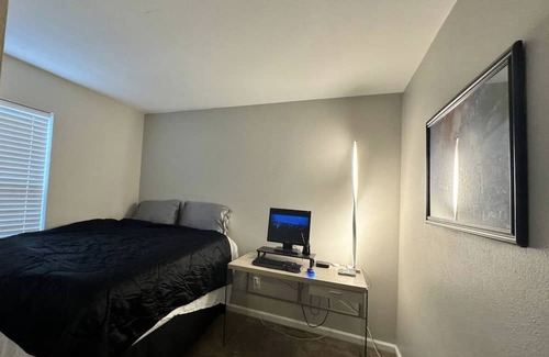 Acton House | Midnight Oasis Basketball Court