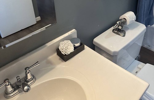 Carnegie Apartment | The birds and the bee’s Wi-Fi , cozy, allows pets