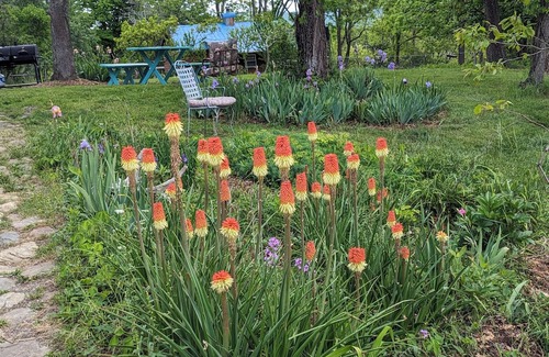 Blacksburg House | Blacksburg Apple Orchard: Family and Pet-Friendly Retreat