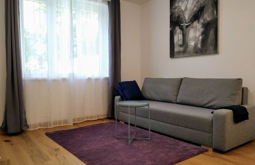 Wahring Apartment | Inviting Vienna Apartment with Spa & Hot Tub Amenities