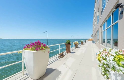 Asiatown Apartment | COZY & Best Lakeview for any experience by Brown's Stadium & RnR Hall Fame!