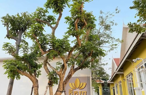 Siem Reap Villa | Top Private Villa for family