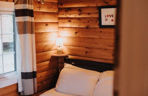 Bronaber Cabin | Cozy 2 Bed Log Cabin in Snowdonia: Pet & Child Friendly