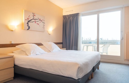 Bellerive-sur-Allier Apartment | Cozy Studio Standard - 1 LIT Double with Pet-Friendly Perks
