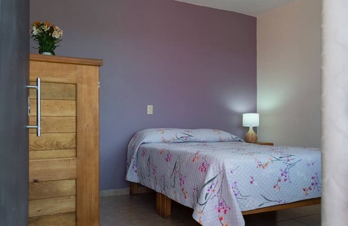 Calzada Madero House | Casa Venado