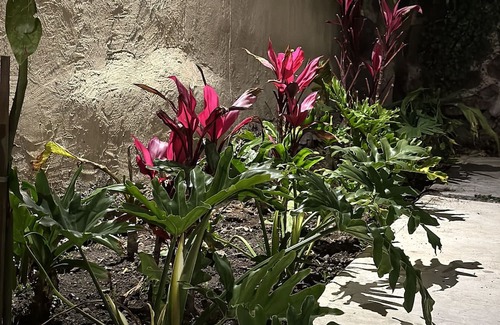 Toluca City-Centre Hotel | Cozy Mi Ranchito Casa de Huéspedes - Child Friendly Stay