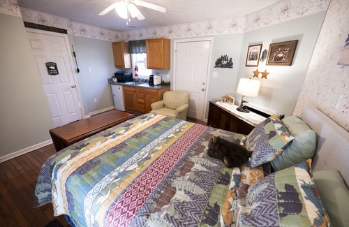 Fancy Gap Cabin | Cozy Orchard Gap Inn: Family-Friendly Retreat Awaits