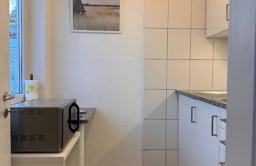 Hoengg Apartment | Cozy One-Bedroom Apartment in Zürich Höngg with Kitchen