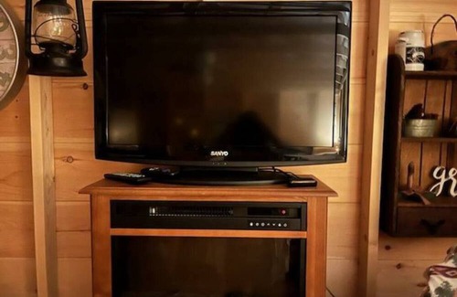 Blissfield Cabin | Cozy Shanty Cabin for Two: Pet and Child Friendly Retreat