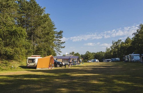 Wilsum RV Rental | In the morning you wake up to the chirping birds and the sun's rays invite you to come outside. Become one with nature and come and enjoy a relaxed and wonderful holiday!