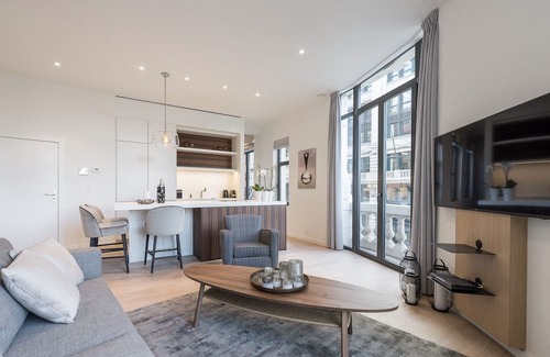 Quartier du Centre - Centrumwijk Apartment | Downtown Brussels Splendor Suite VI