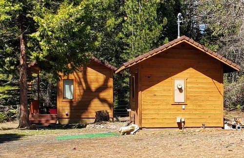 Shingletown Cabin | Explore 50 Acre Mountain Meadow Campground with Unique Amenities