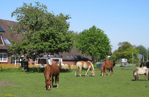 Holtgast Apartment | Family-Friendly Retreat with Ponies Near the North Sea