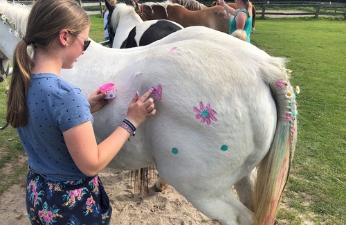 Holtgast Apartment | Family-Friendly Retreat with Ponies Near the North Sea