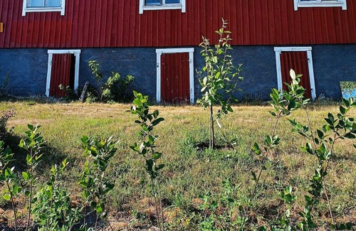 Sottunga Bed & Breakfast | Inviting Strandhuggetbnb: Perfect for Family Getaways