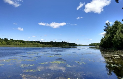 Tay Valley Cottage | WaTERFRoNT TiNY HoUSe NeAR PeRth & an HouR to OttAwA - A Perfect Getaway for Two