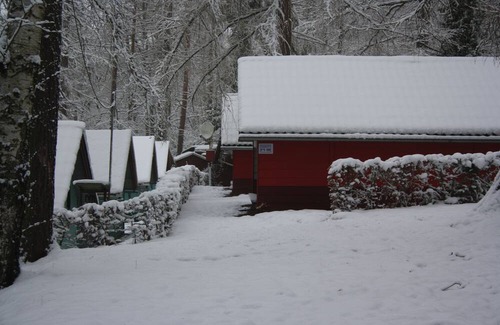 Kriebstein House | Discover Bungalows Waldidylle Kriebstein: Pet-Friendly Retreat