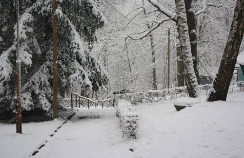 Kriebstein House | Discover Bungalows Waldidylle Kriebstein: Pet-Friendly Retreat
