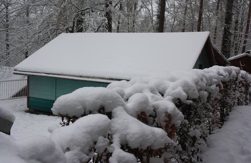 Kriebstein House | Discover Bungalows Waldidylle Kriebstein: Pet-Friendly Retreat