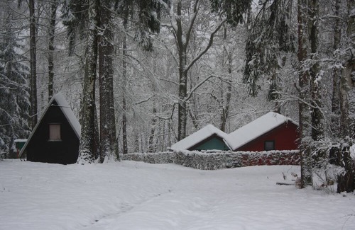 Kriebstein House | Discover Bungalows Waldidylle Kriebstein: Pet-Friendly Retreat