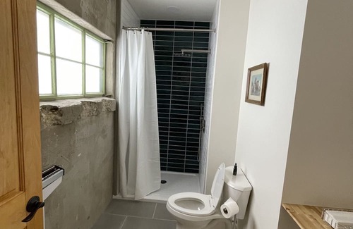 Lewis House | Modern Downtown Hostel with Outdoor Space & Sauna Access