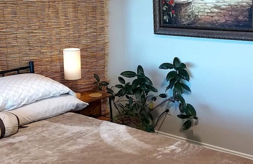 Park Central Apartment | Charming Studio Retreat in the Heart of the City