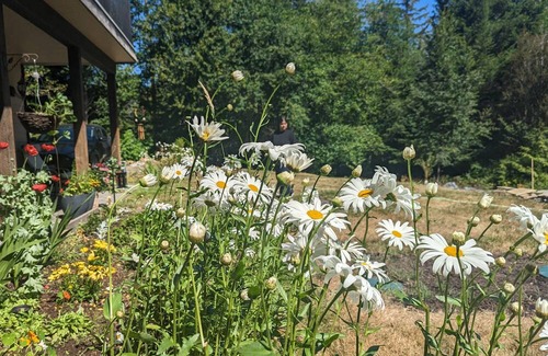 Otter Point House | Tranquil Lakeside Retreat with Spa and Family Amenities
